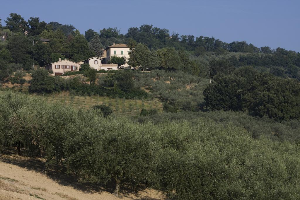 Agriturismo Il Girasole モンテファルコ エクステリア 写真