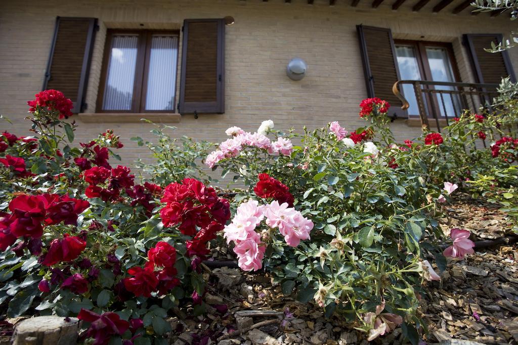 Agriturismo Il Girasole モンテファルコ 部屋 写真
