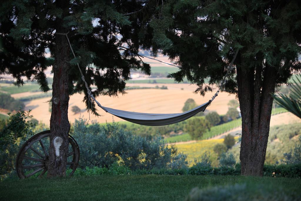 Agriturismo Il Girasole モンテファルコ エクステリア 写真