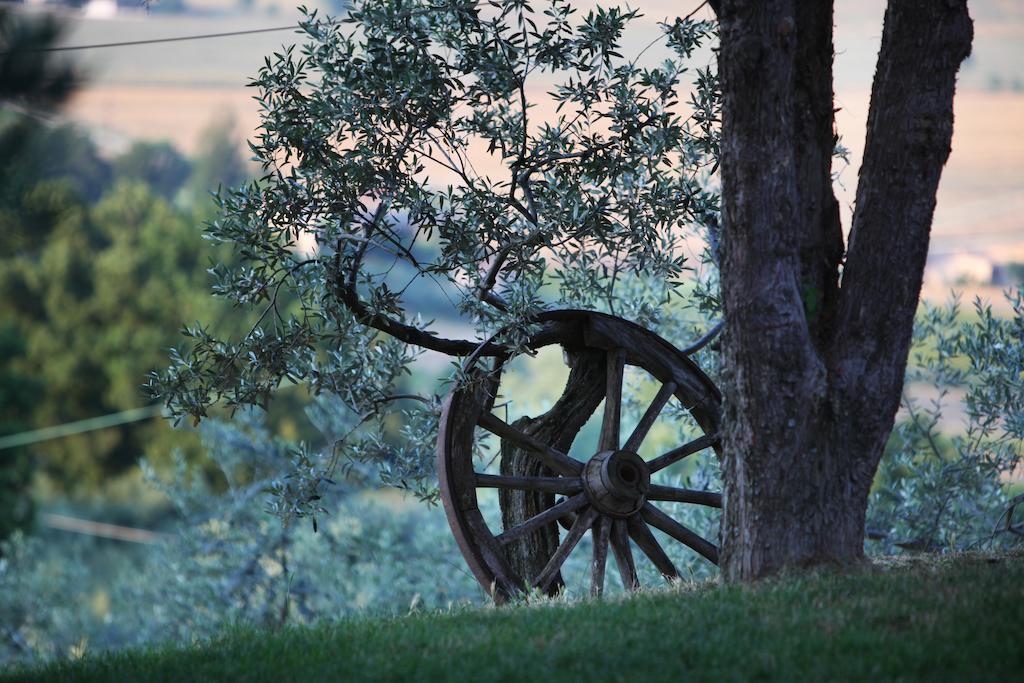 Agriturismo Il Girasole モンテファルコ エクステリア 写真